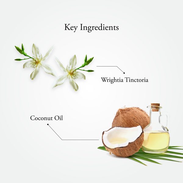 PSORA HERB OIL 100 ML - Image 4