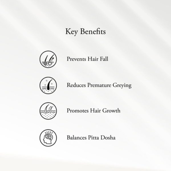 NEELIBHRINGADI HAIR OIL - Image 2