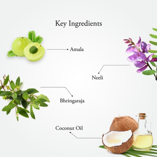 NEELIBHRINGADI HAIR OIL - Image 3