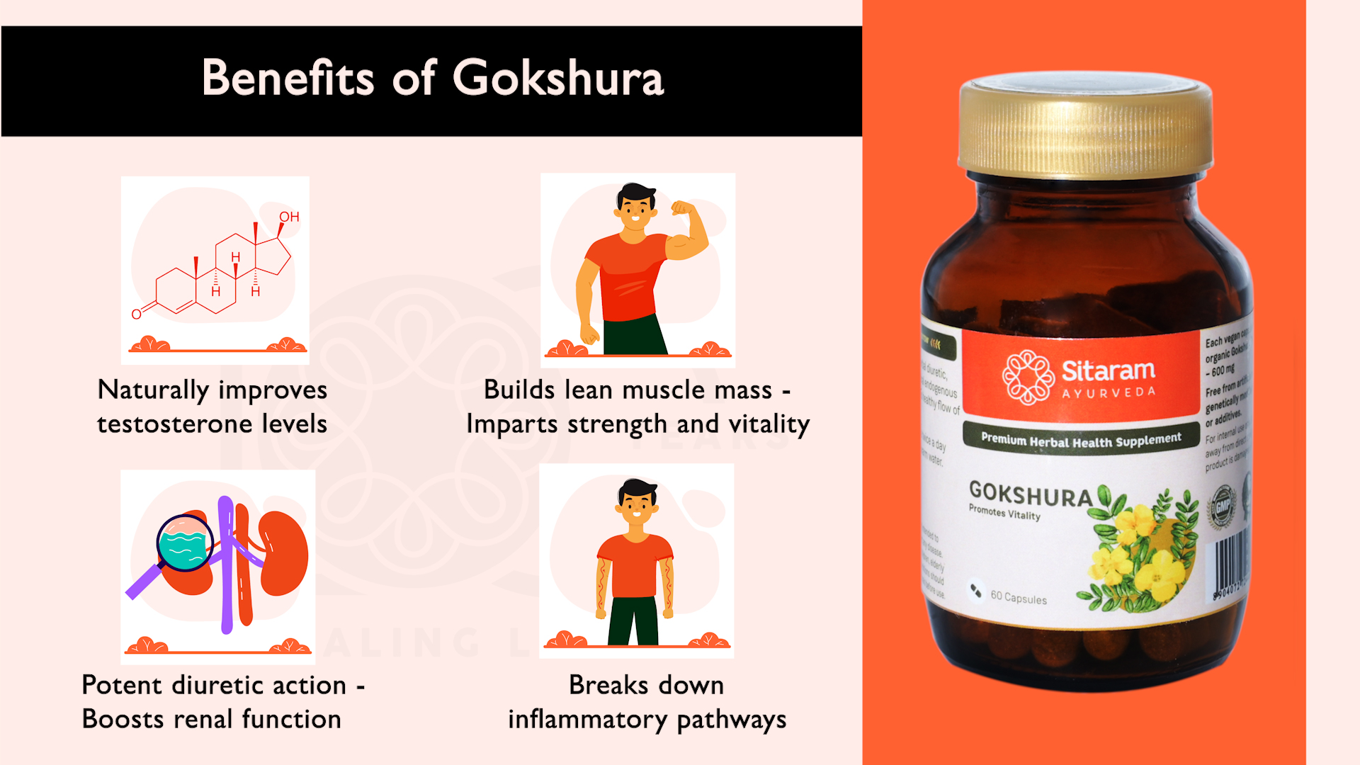 gokshura benefits, gokshura tablet, gokshura tablets benefits