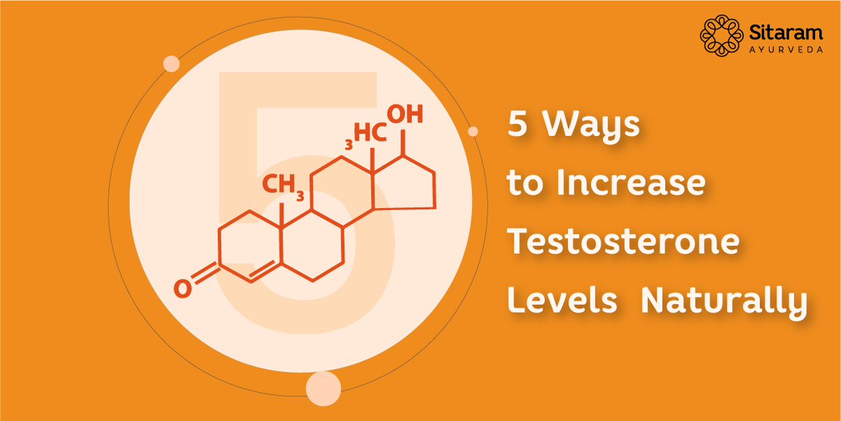 how to increase testosterone, how to increase testosterone level, testosterone booster food, how to boost testosterone